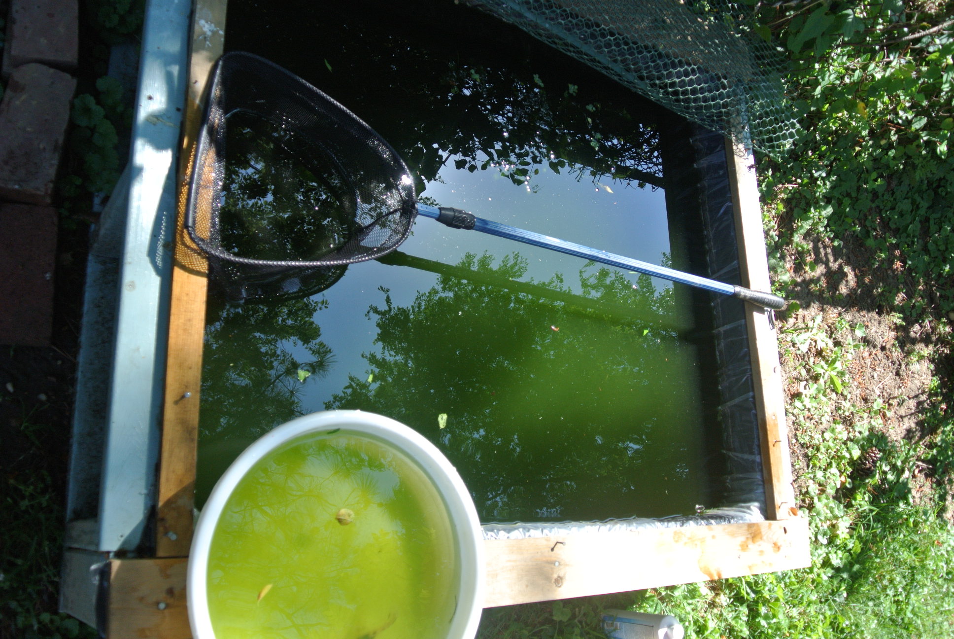 Green Water Tub